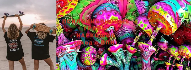 где продают наркотики  Кремёнки  Псилоцибиновые грибы Magic Shrooms 